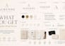 create a premium brand identity and style guide for ecommerce brands
